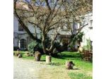 Cascina degli Ulivi
