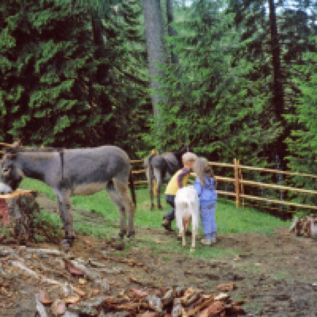 Agritur Malga Secine