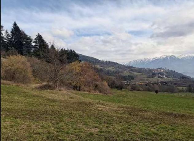 564/2022 3 BS - terreno in asta a Borno - Foto 13