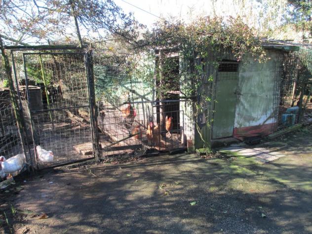 Terreno agricolo in vendita a Cascina 5000 mq Rif: 1396229 - Foto 3