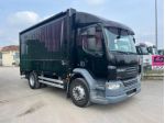 DAF DAF LF CENTINATO USATO  rif. 23825127