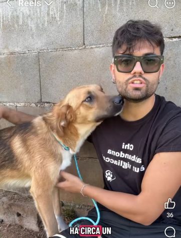 MOCKY CERCA UN AMICO AMOREVOLE CUCCIOLO IN ADOZIONE - Foto 7