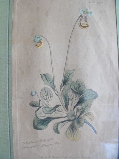 DISEGNI FLOREALI - Foto 6