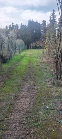 Villa in vendita a Montelupo Fiorentino 150 mq Rif: 1088310 - Foto 4