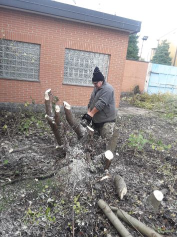 il giardiniere di fiducia - Foto 4