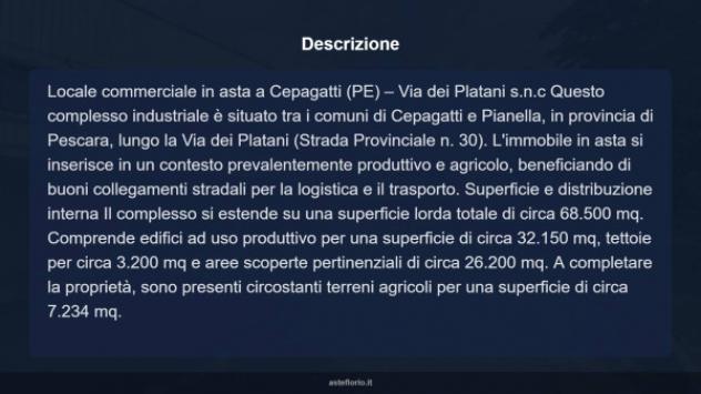 Immobile in asta di 68500 m² in vendita a Cepagatti - Foto 9
