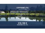 Immobile in asta di 1446 m² con più di 5 locali in vendita a Codognè