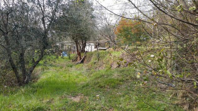 Alassio, terreno di circa 6.000 mq. con progetto per costruire una villa. - Foto 4