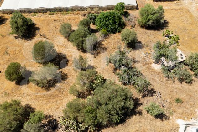 Terreno Agricolo - Santa Croce Camerina . Rif.: Cod. rif 3314731VCG - Foto 14