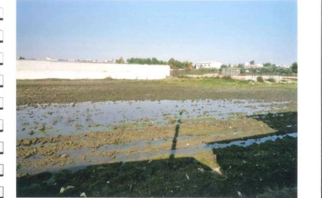 Immobile in asta di 2191 m² in vendita a Lucera - Foto 7
