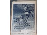 il Gatto Poliziotto, C. RIOVITTO, CASA EDITRICE G. NERBINI 1917.