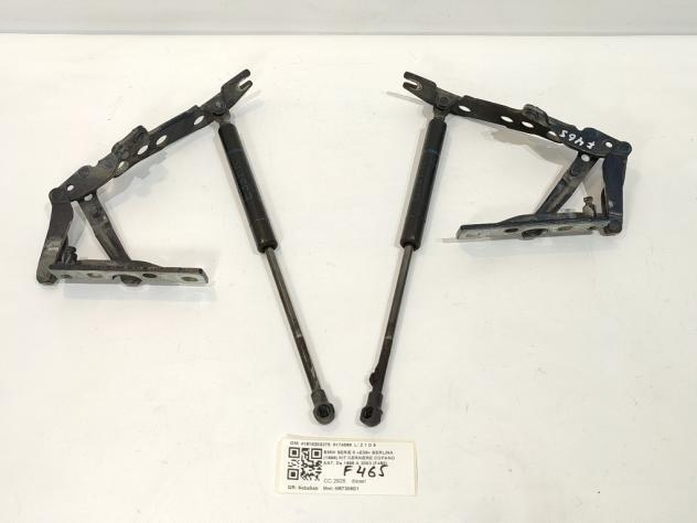 CERNIERE BAULE COFANO POSTERIORE DX SX BMW Serie 5 E39 Berlina 41618203275 8174866 M57306D1 (9603)