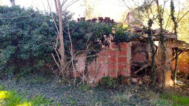 Bellissimo Casale Diruto Da Restaurare Immerso nel Verde delle Colline Pisane della Valdera - Foto 3