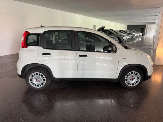 FIAT Panda Panda 1.0 firefly hybrid s&s 70cv 5p.ti - Foto 6