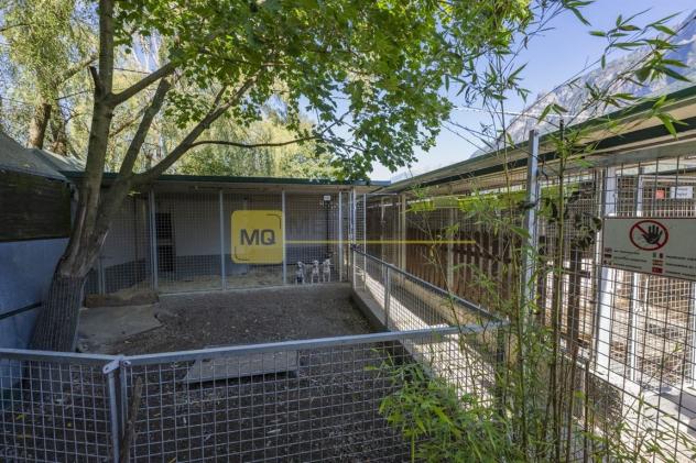 Si propone tenuta adibita ad allevamento per trasferimento attività - Foto 13
