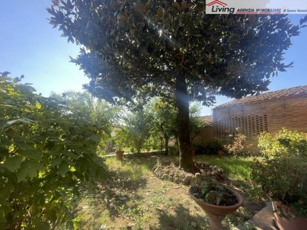 Appartamento 5 locali - Rif. V896 - Foto 13