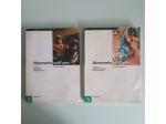 Itinerario nell’Arte 2-3 - Cricco, Di Teodoro - Zanichelli - 2009