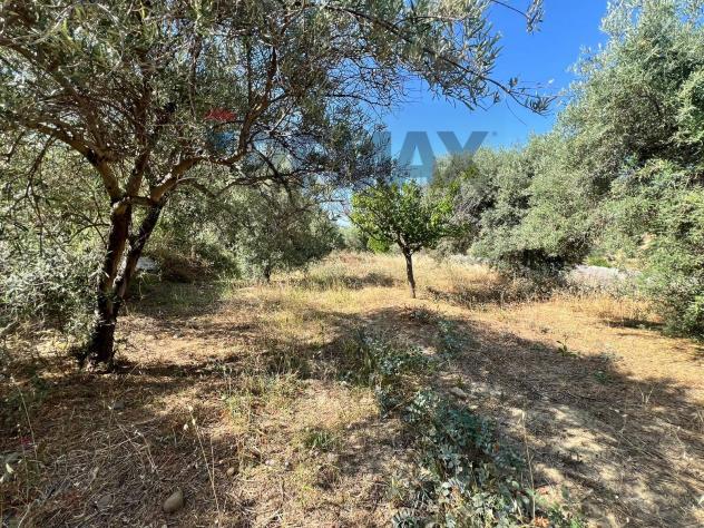 Terreno in vendita a Motta Sant'Anastasia - Foto 16