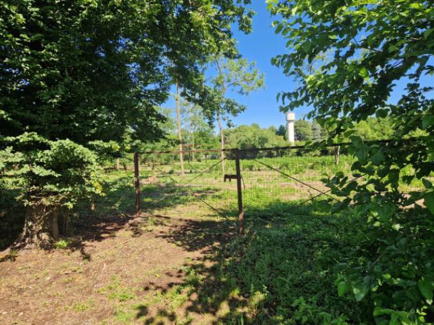 Terreno di 6500 m² in vendita a Olgiate Olona - Foto 3