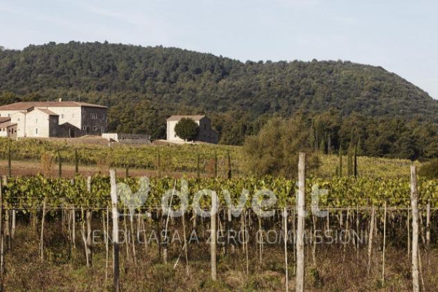 Rustico / Casale di 16000 m² con più di 5 locali in vendita a Rapolano Terme - Foto 10