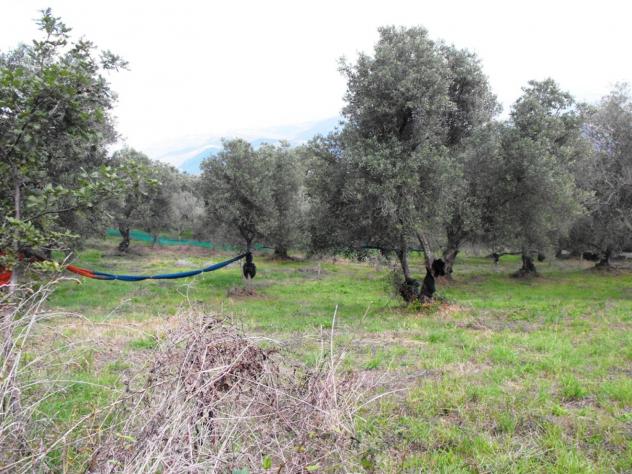 Agricolo in Località Caselle - Foto 7