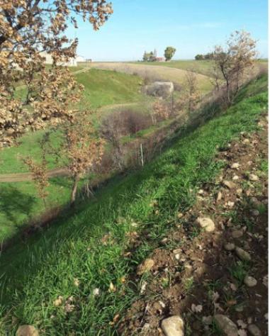 Immobile in asta di 43852 m² in vendita a Venosa - Foto 7
