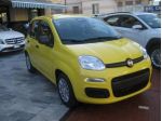 FIAT New Panda PANDINA 1.0 FIREFLY  65CV HYBRID POP rif. 23845199