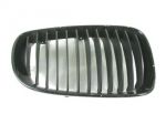 51137166440 MASCHERINA GRIGLIA RENE PARAURTI ANTERIORE LATO DESTRO BMW SERI &hellip;