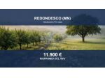 Immobile in asta di 4310 m² in vendita a Redondesco