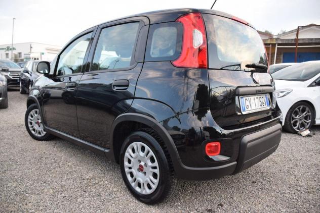 FIAT Panda 1.0 FireFly Hybrid (BENZINA/ELETTRICA) CLIMA - BLUETOOTH - OK NEOPATENTATI - IVA DETRAIBILE - Foto 3