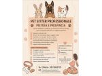 Dog  Pet sitter