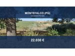Immobile in asta di 40230 m² in vendita a Montefalco