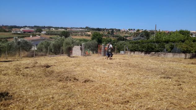 TERRENO AGRICOLO di 1300 mq (POMEZIA) rif. C/305 - Foto 8
