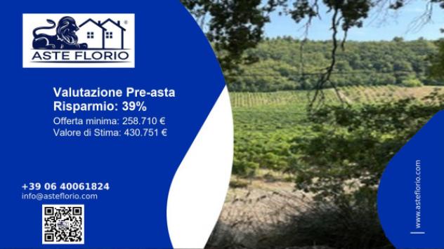 Immobile in asta di 93361 m² in vendita a Ripatransone