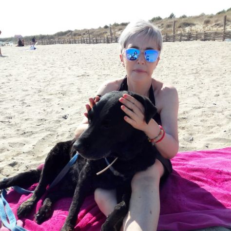 Dog and cat sitter - Foto 2