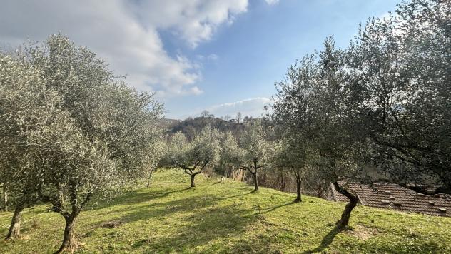 Rustico/Casale/Corte - Alatri . Rif.: Cod. rif 3297841VRG - Foto 4