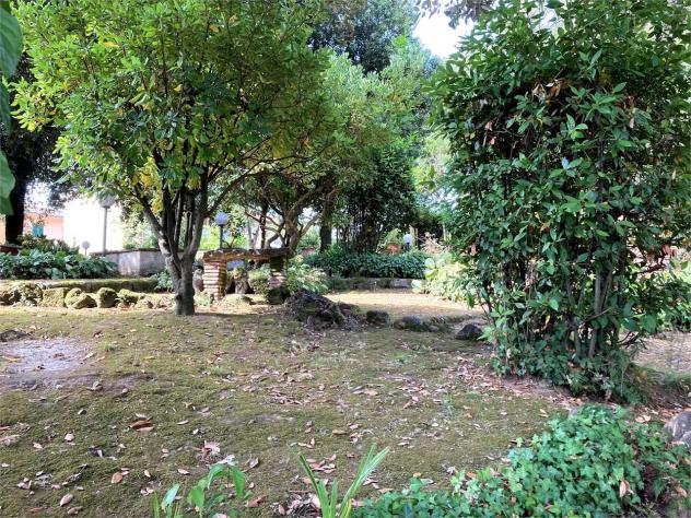 Villa pescia 850 - Villa a Pescia - Collodi - Foto 7