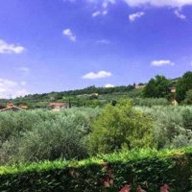 Bed & Breakfast all'Oliveto di Salvetti Laura - Foto 2