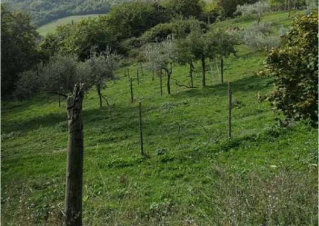 Immobile in asta di 54494 m² in vendita a Barberino di Mugello - Foto 3