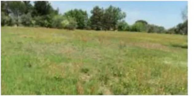 Immobile in asta di 36620 m² in vendita a Fucecchio - Foto 14
