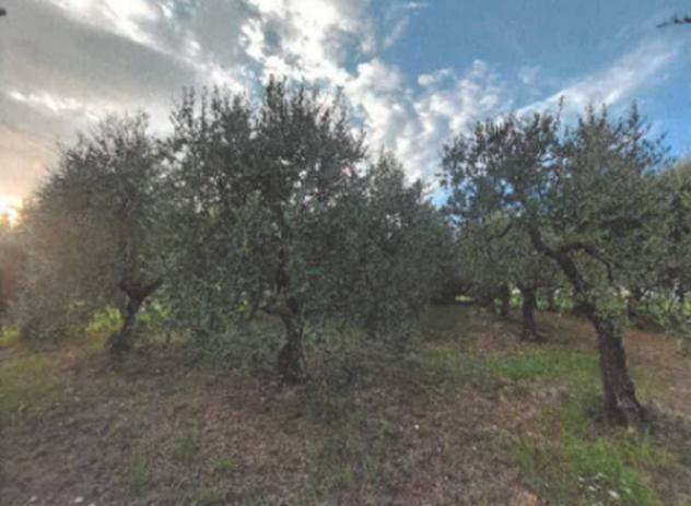 Immobile in asta di 1860 m² in vendita a San Miniato - Foto 6