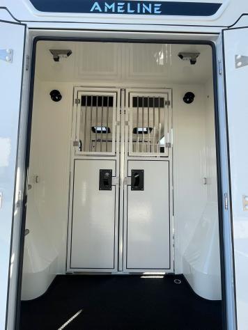 Renault Master Master 2.0 TD 170 CV HARAS ALLESTIMENTO STALLONI 3 POSTI CABINA - Foto 7