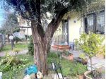 Vendita Appartamento da 110 mq  in Via dell'Ulivo