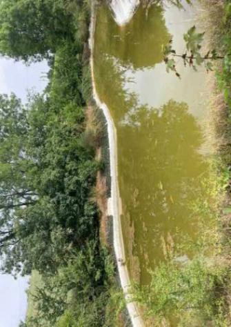 Immobile in asta di 512 m² con più di 5 locali in vendita a Vignola - Foto 5