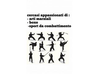 Arti marziali appassionati