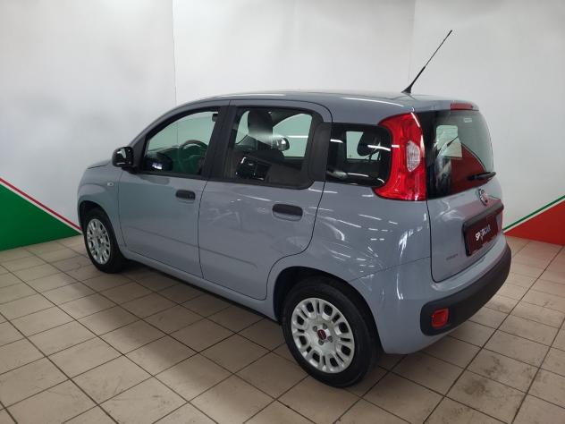 FIAT Panda 1.2 69 CV EasyPower E6d-Temp Easy - Foto 5