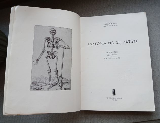 ANATOMIA PER GLI ARTISTI, Ed. F.lli Lega 1968. - Foto 3