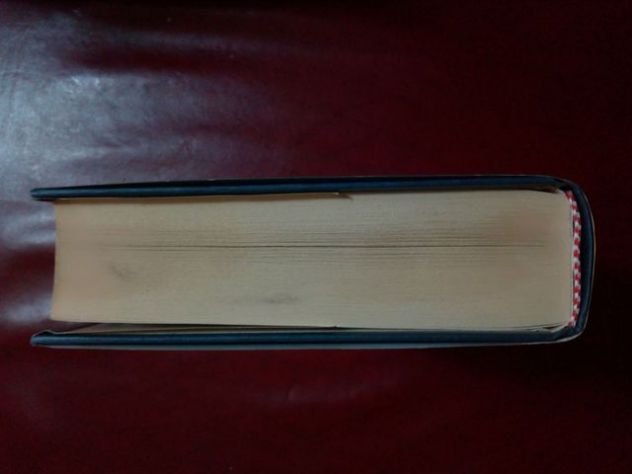 Libro: Susan a faccia in giù nella neve - Carol O'Connell - Foto 4