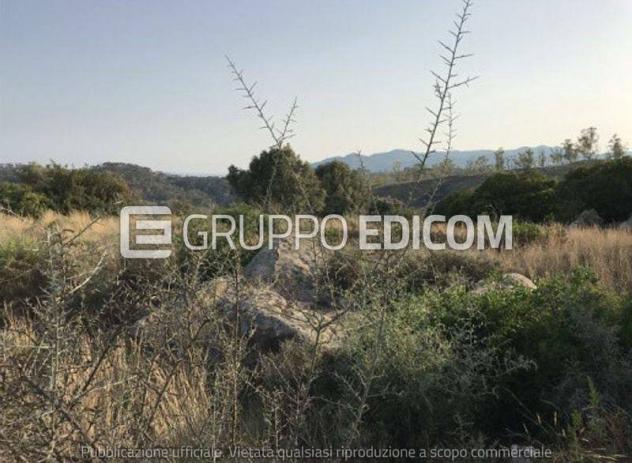 Terreno di 32550 mq in vendita a Ferruzzano - Rif. 4546625 - Foto 4