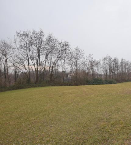 TERRENO AGRICOLO di 6410 mq (MONTEBELLUNA) rif. ZT41F_51